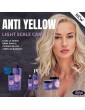 LISAP LIGHT SCALE MOUSSE ANTI YELLOW